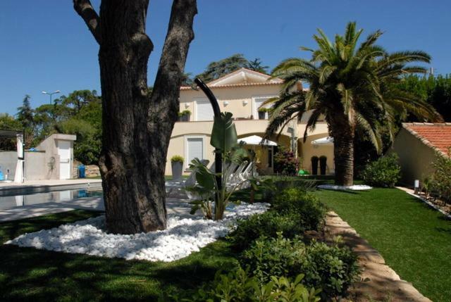 Sainte Maxime 4 Pieces公寓 外观 照片
